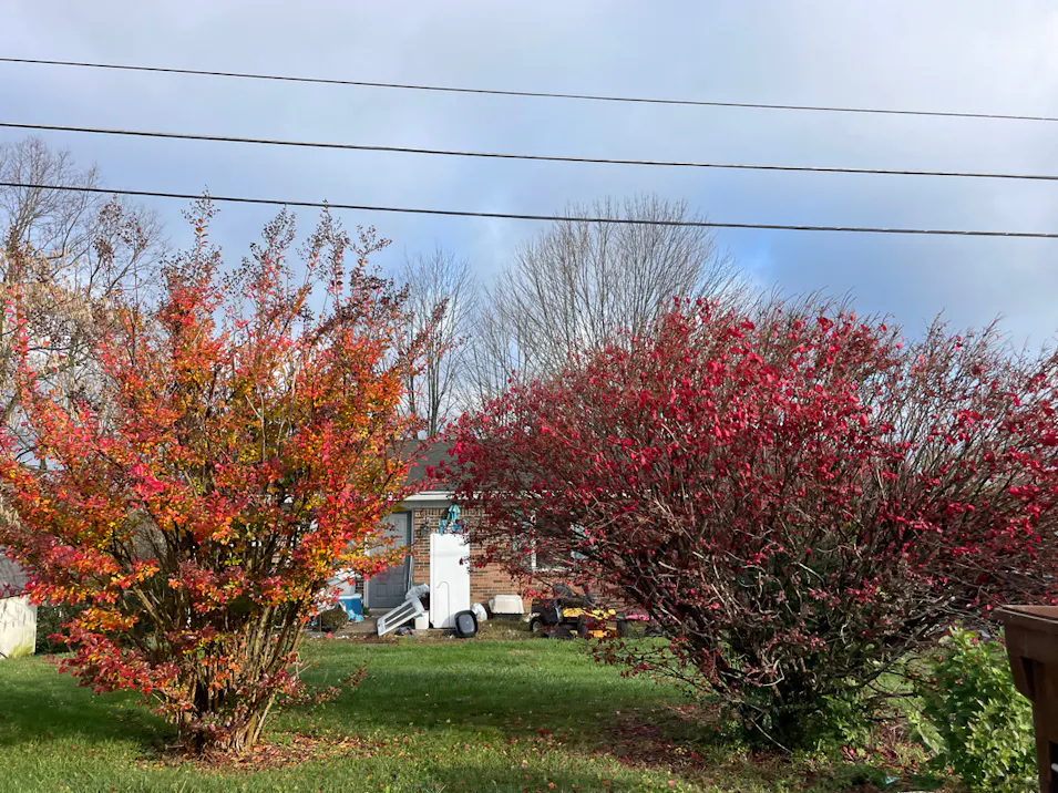 312 Overland Dr Richmond, KY 40475, Madison County
