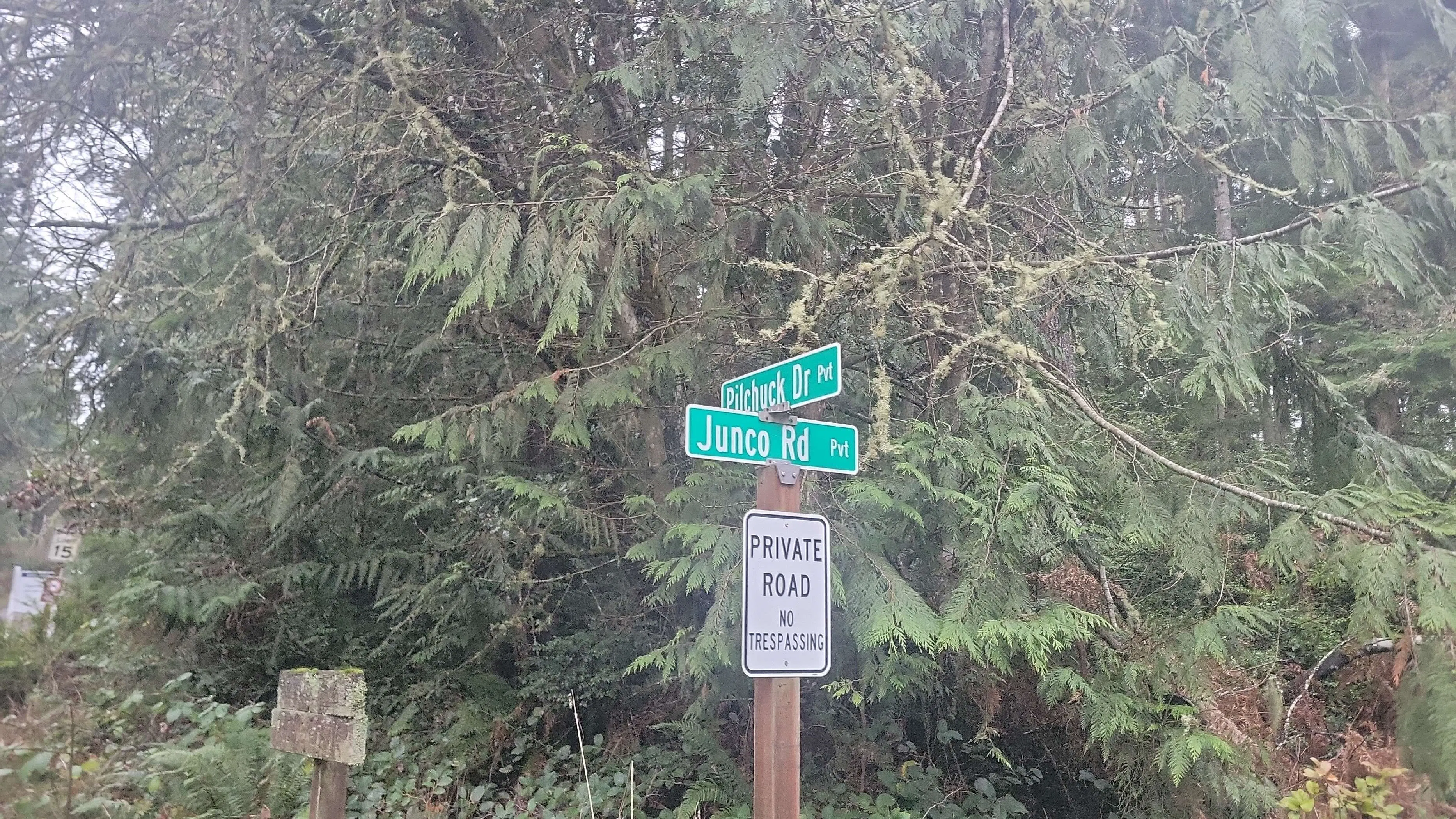 Crestway Rd, Greenbank, WA 98253 #1