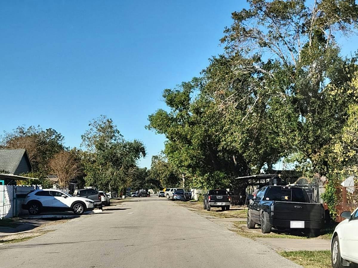 Pillot St, Houston, TX 77029