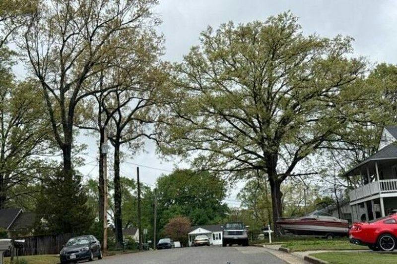 Smithfield Ave, Hopewell, VA 23860