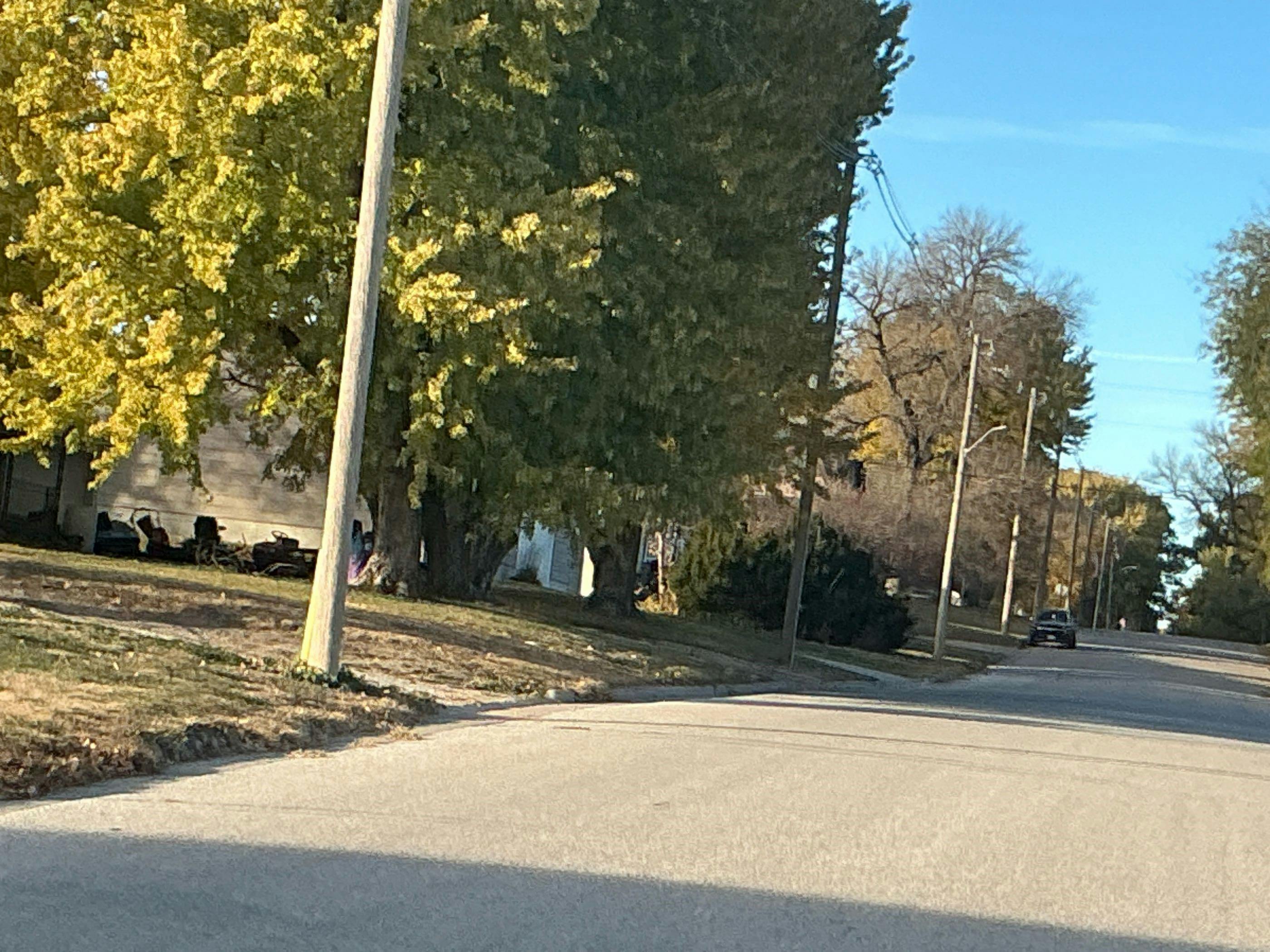 Ekeley St, Stromsburg, NE 68666