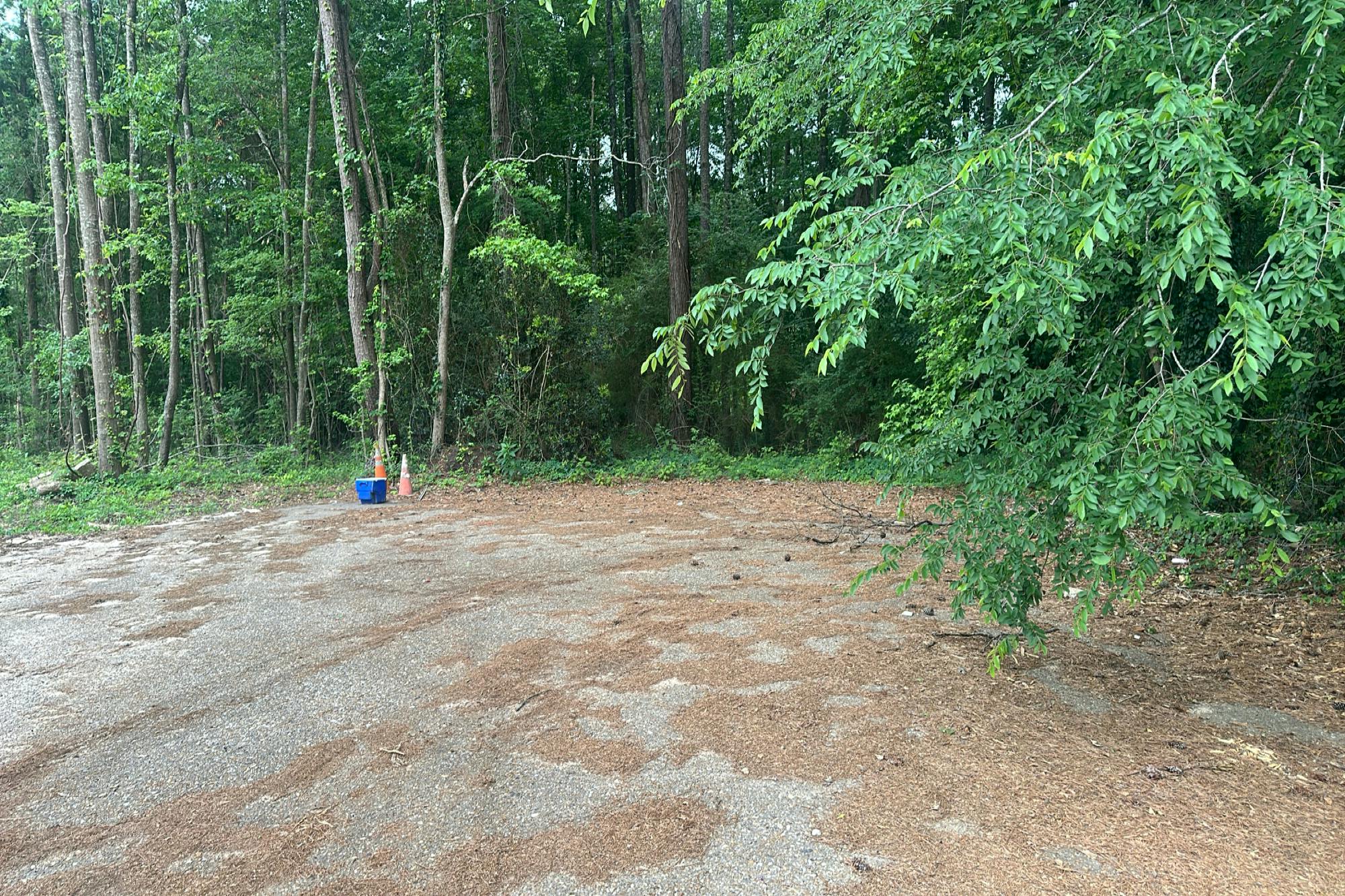 Wayside St, Grambling, LA 71245