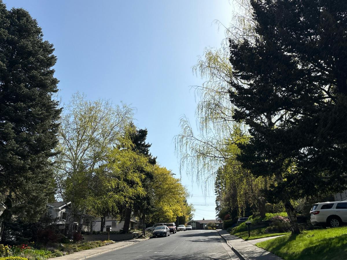 Grant St, Pullman, WA 99163