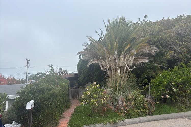 452 Van Dyke Ave Del Mar, CA 92014, San Diego County