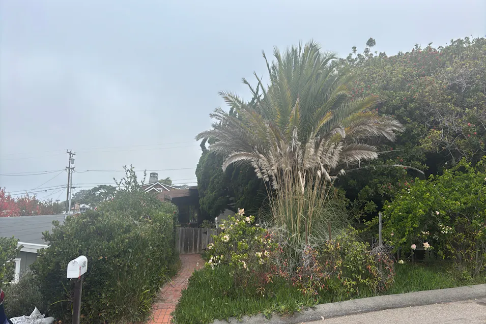 452 Van Dyke Ave Del Mar, CA 92014, San Diego County