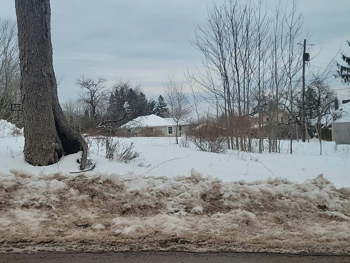 Revonah Hill Rd, Liberty, NY 12754 #1