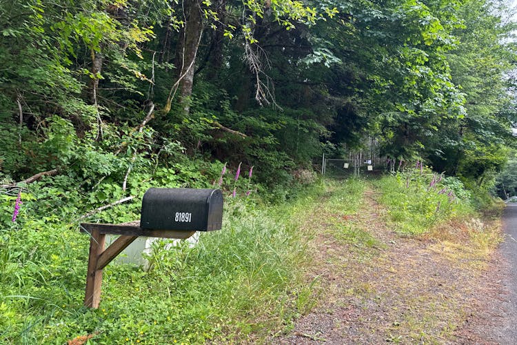 81891 Cow Creek Rd Seaside, OR 97138, Clatsop County