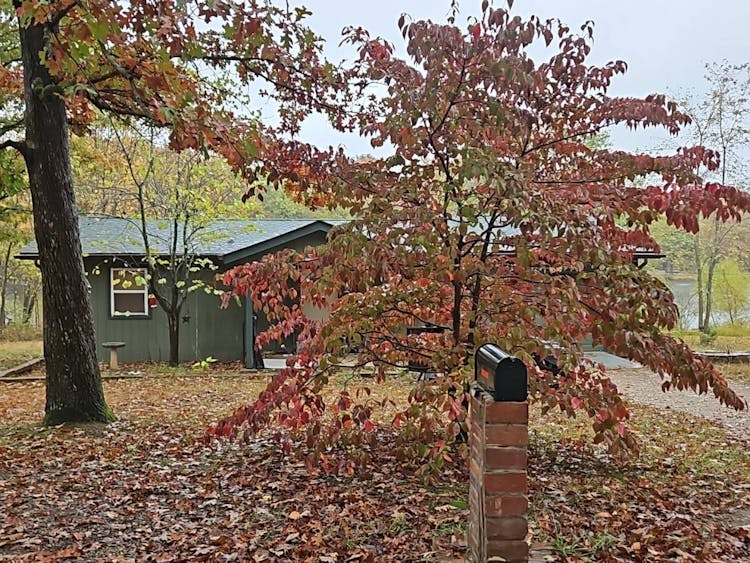 115 Iroquois Irondale, MO 63648, Washington County