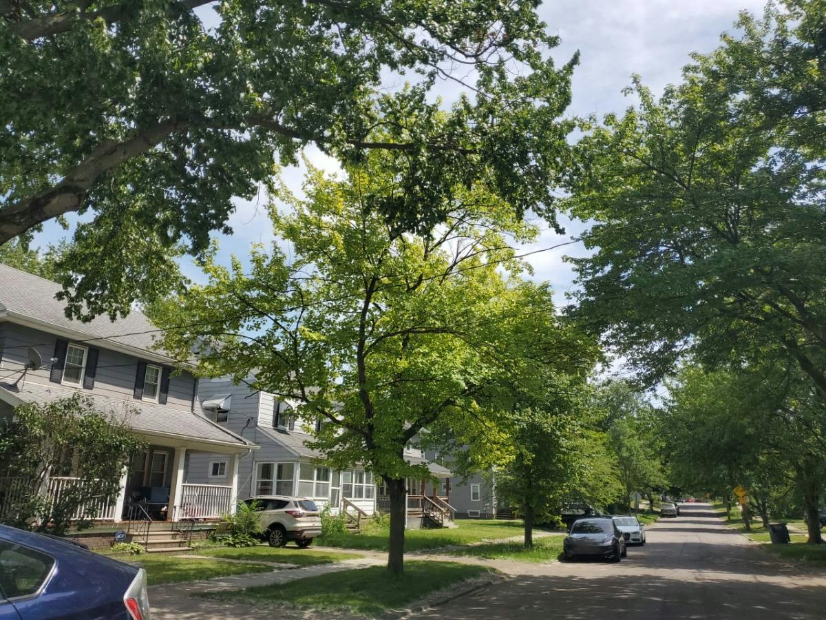 Burnham Ave, Toledo, OH 43612
