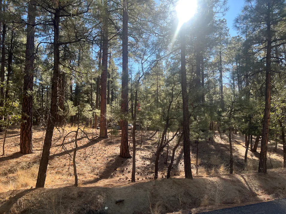 1149 East Friendly Pines Road Prescott, AZ 86303, Yavapai County