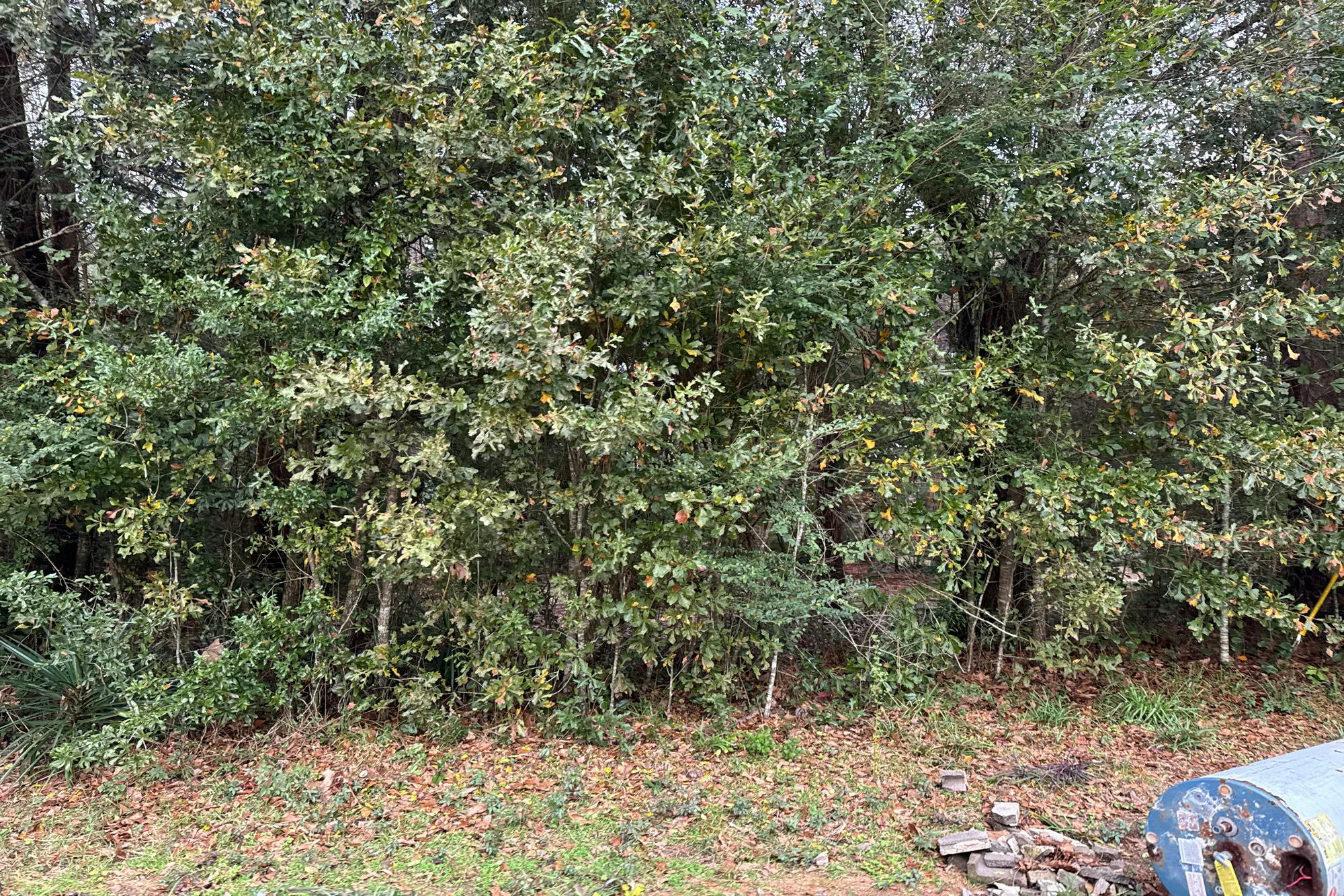 Blackwater Ln, Robertsdale, AL 36567