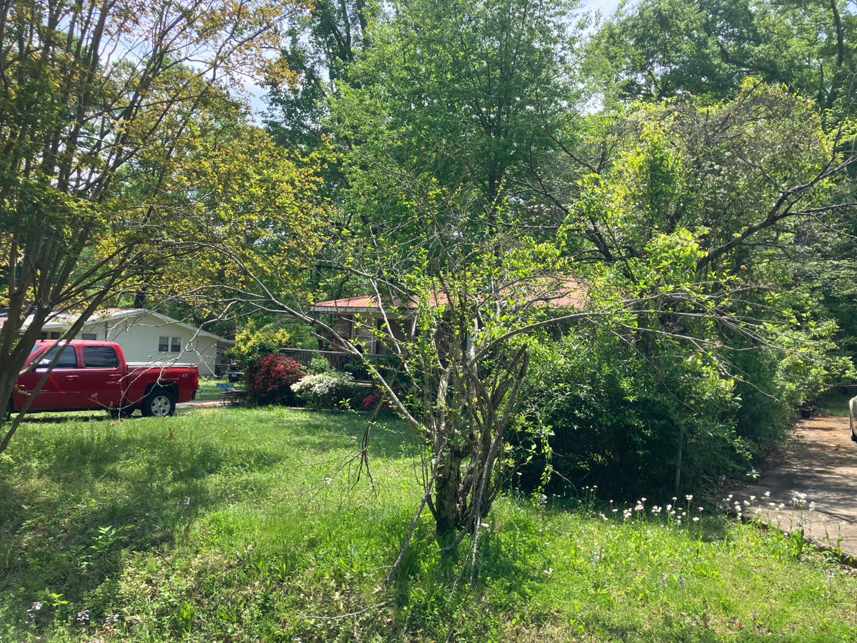 15th St, Bessemer, AL 35023 #1