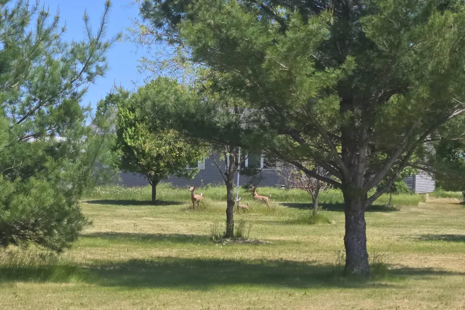 E7885 County Road E Menomonie, WI 54751, Dunn County