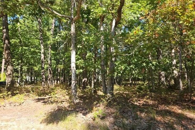 110 Flyatt Rd Tabernacle, NJ 08088, Burlington County