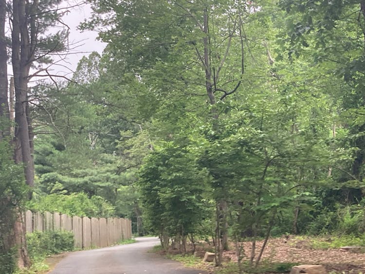 26 Cooper Ln Chester, NJ 07930, Morris County