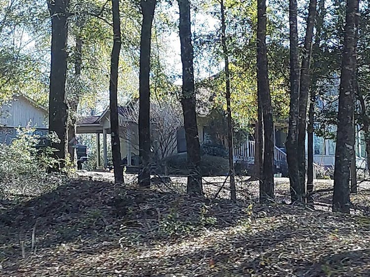 15650 Smokey Rdg Rd Knoxville, AL 35469, Tuscaloosa County