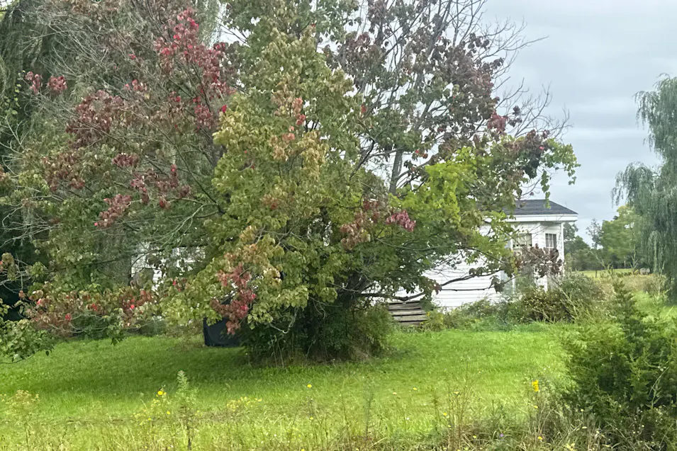18 Algerine Road Lansing, NY 14882, Rockland County