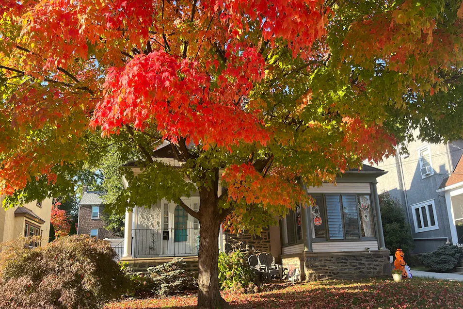 247 W Plumstead Ave Lansdowne, PA 19050, Delaware County