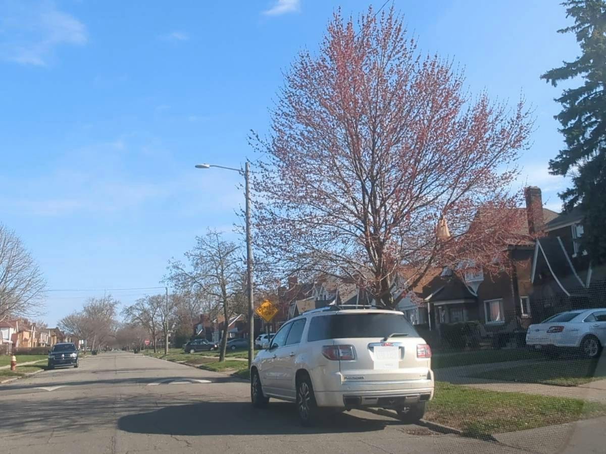 San Juan Dr, Detroit, MI 48221