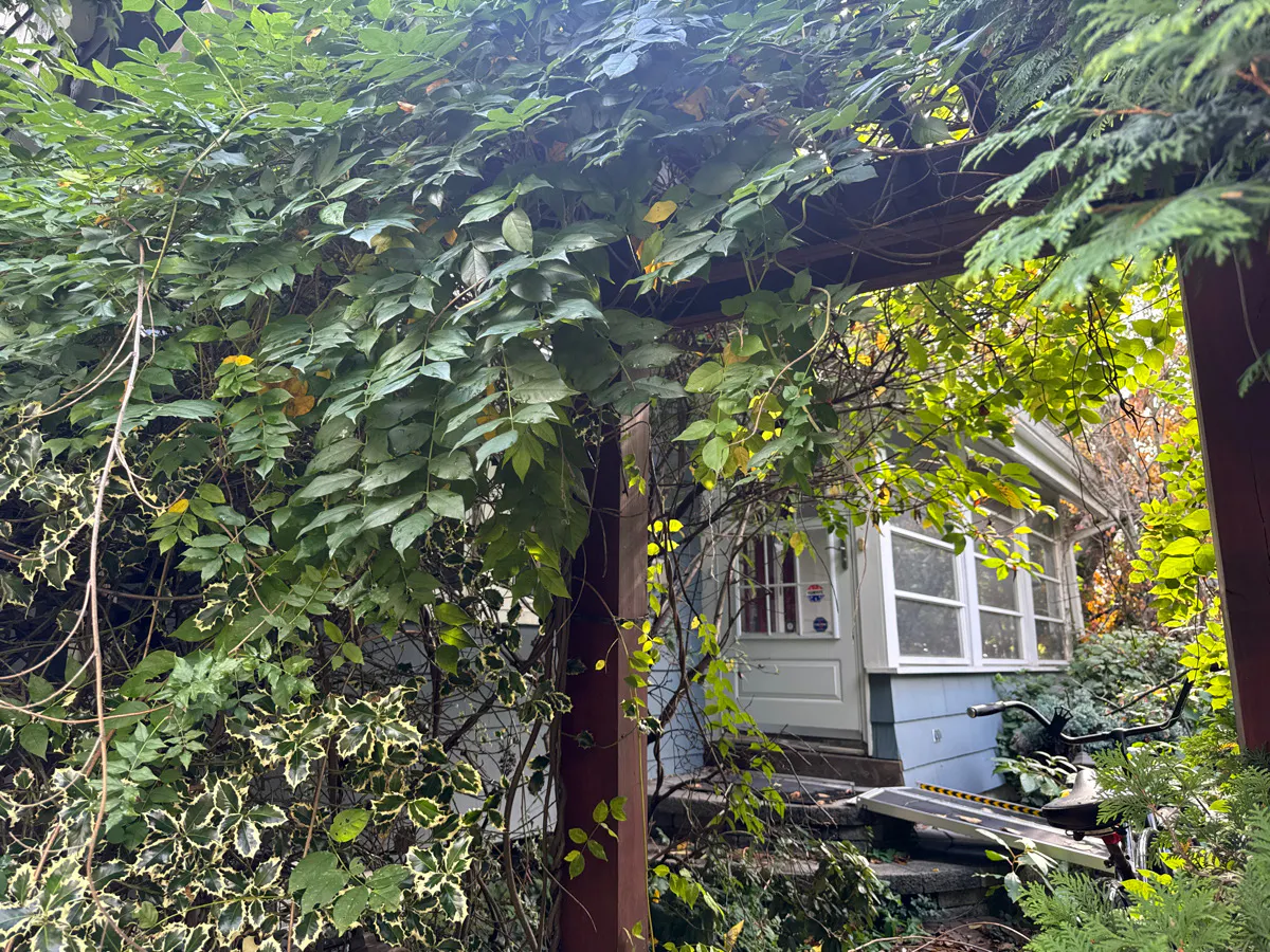 Locust Ave, Mountainside, NJ 07092