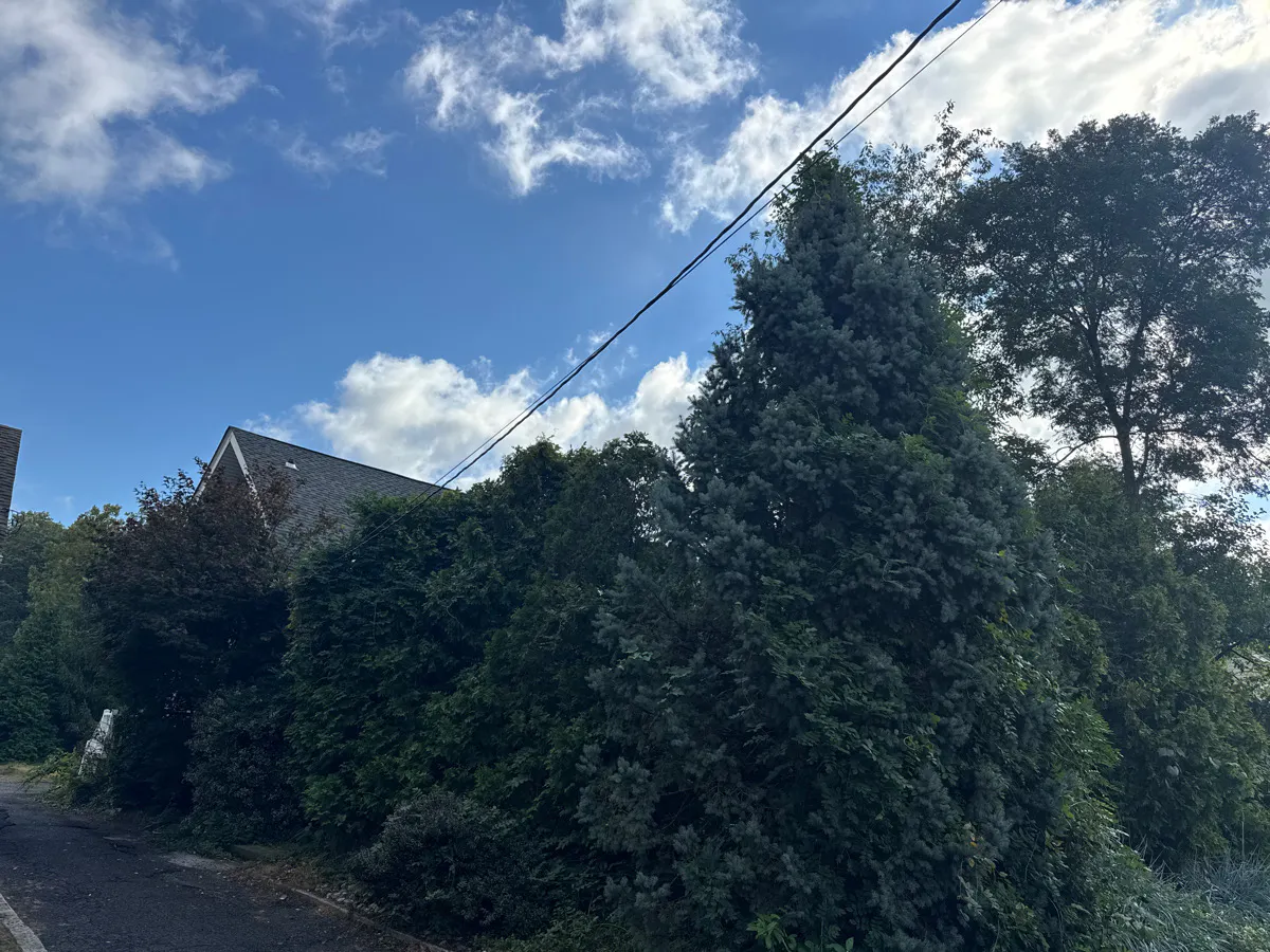 Locust Ave, Mountainside, NJ 07092 #1