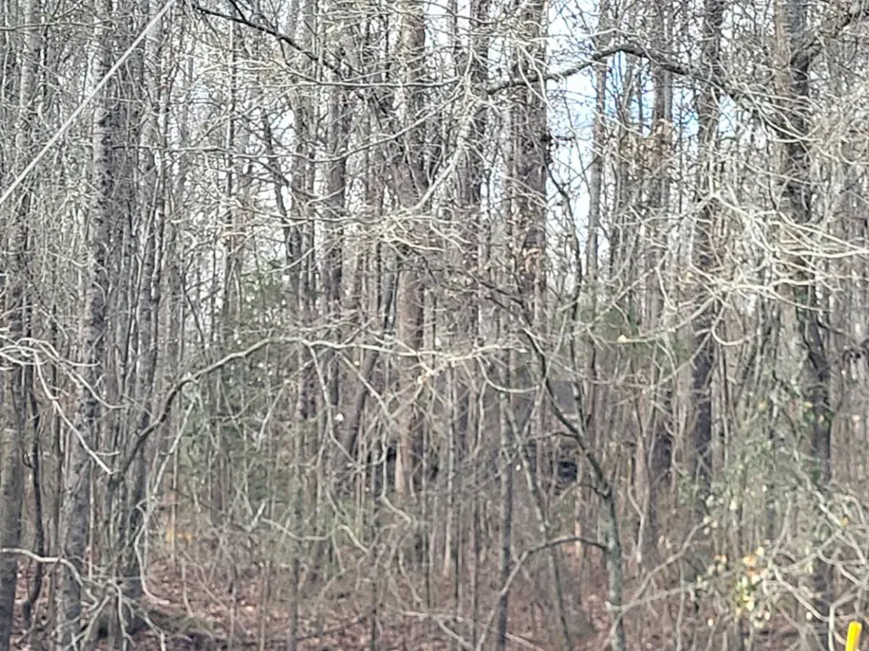 955 Joe Stephens Road Franklin, GA 30217, Heard County