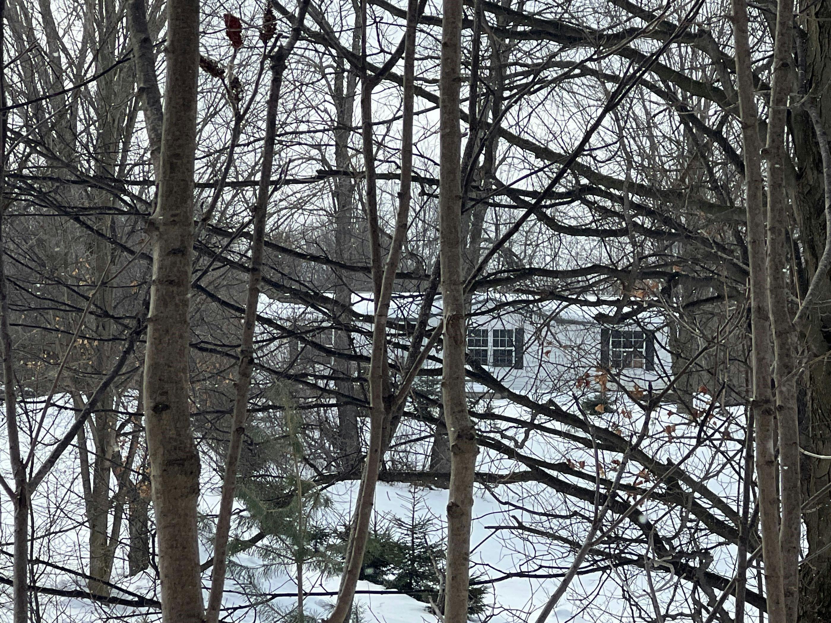 Warren Rd, Shelby, MI 49455