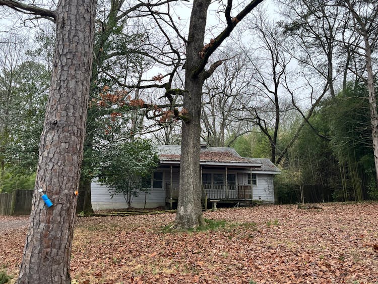 1712 2nd St NW Centerpoint, AL 35215, Jefferson County