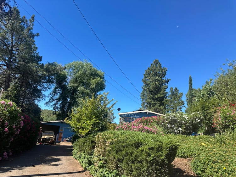 10709 Paradise Ct Kelseyville, CA 95451, Lake County