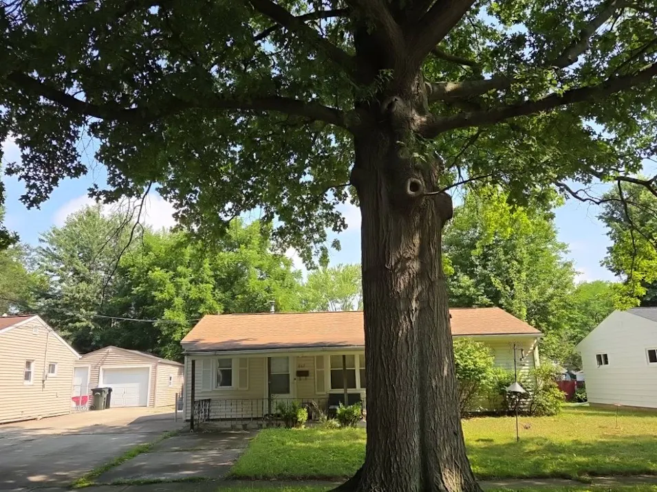 867 Oak Street Elyria, OH 44035, Lorain County