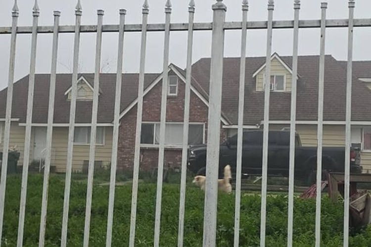 1701 E Sumner Ave Fresno, CA 93725, Fresno County