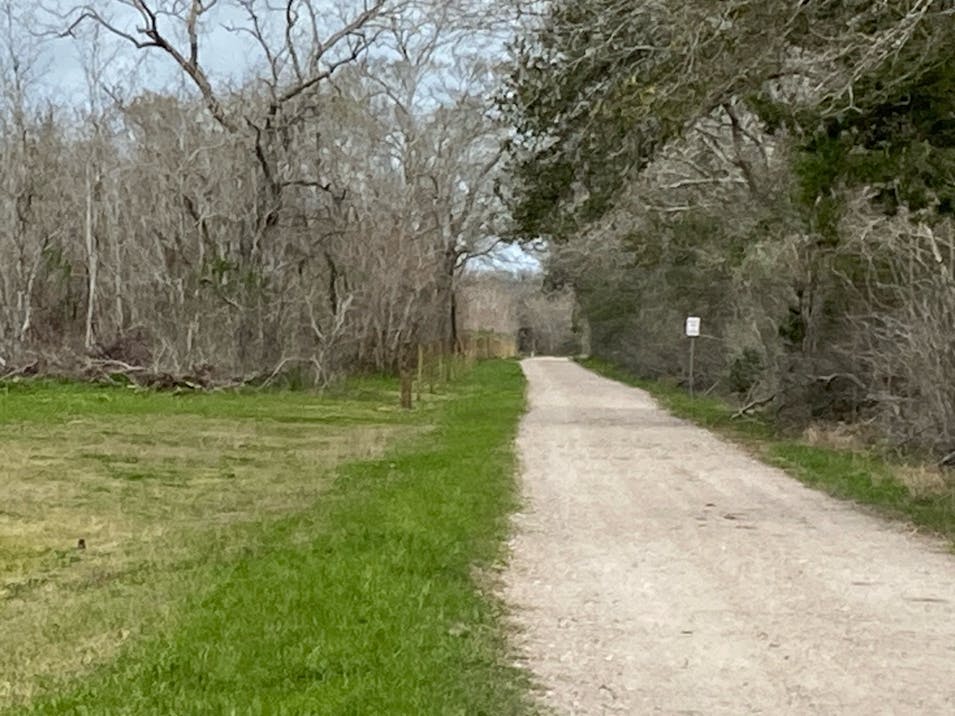 8008 County Road 318 Brazoria, TX 77422, Brazoria County