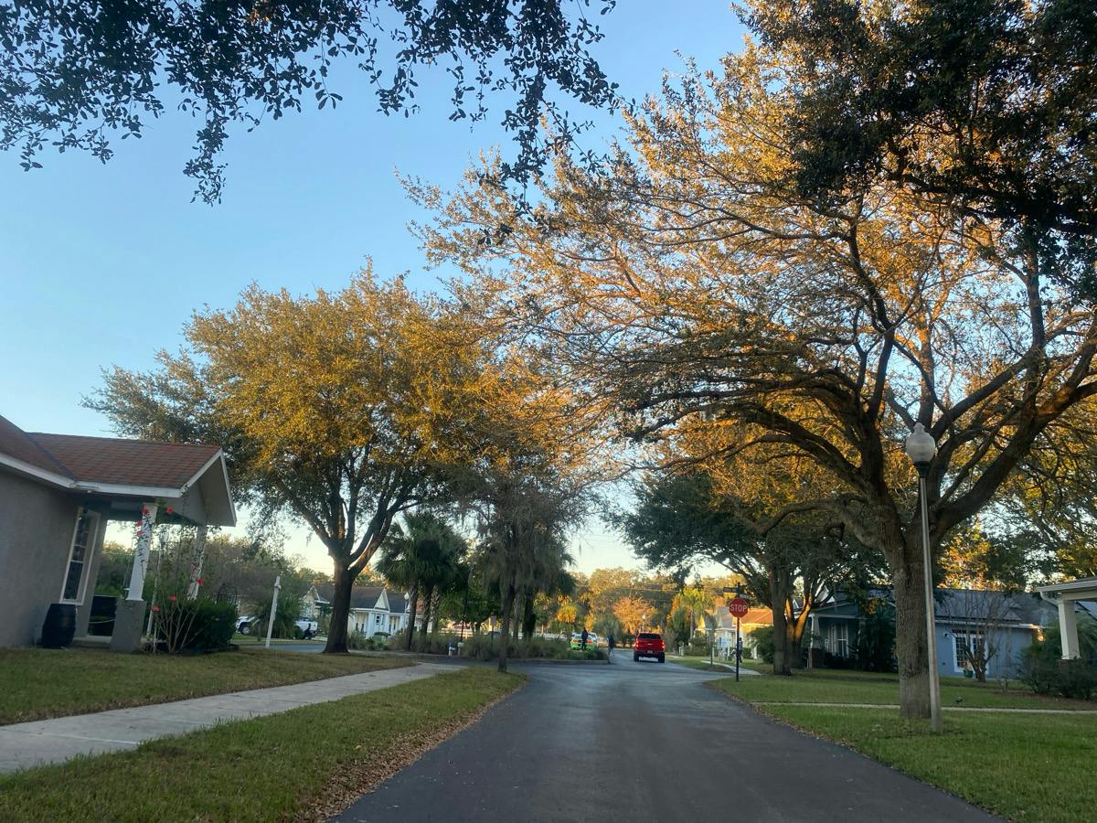 Picketts Mill Ave, Zephyrhills, FL 33542