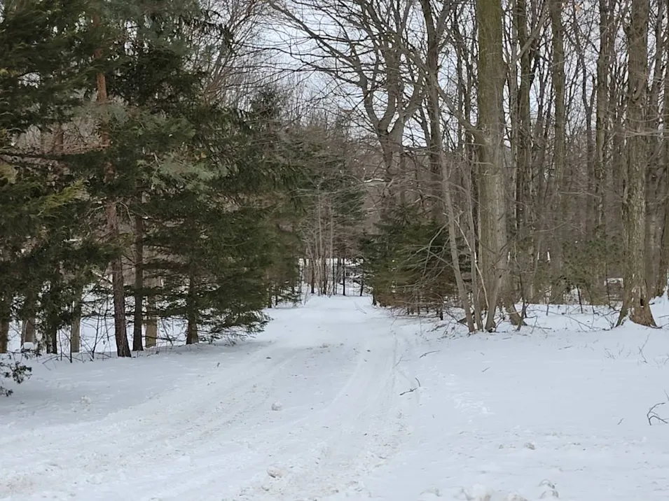 4696 Patterson Rd Middleville, MI 49333, Barry County