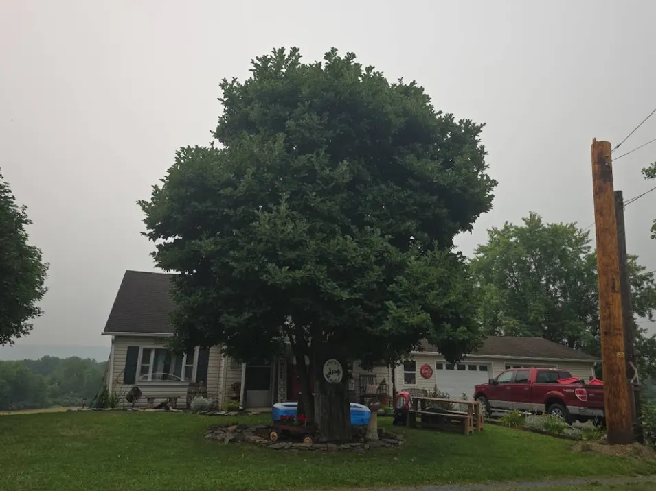 1090 Sodom Rd Milton, PA 17847, Northumberland County