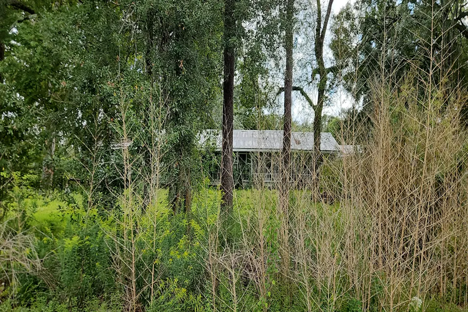 39459 Babin Rd Gonzales, LA 70737, Ascension County
