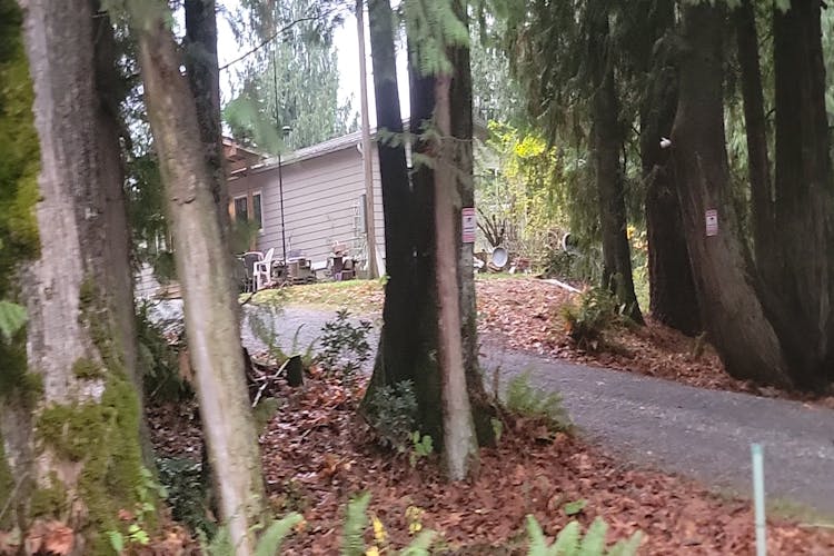 6661 Goodwin Rd Everson, WA 98247, Whatcom County