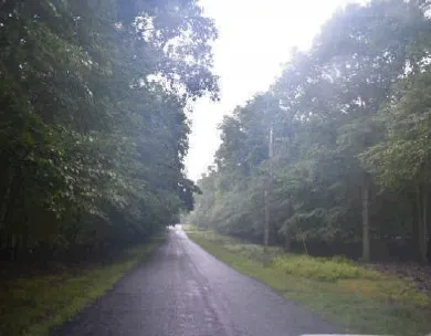 Cherry Blossom Ln, Bushkill, PA 18324 #1