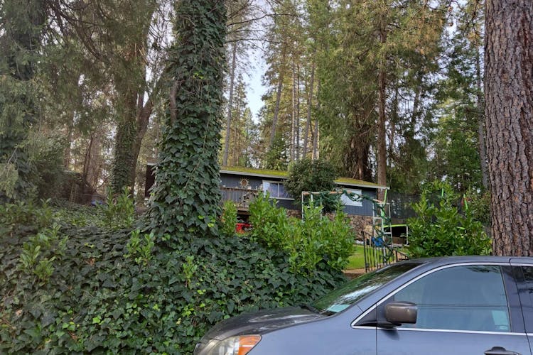 10819 Gold Hill Drive Grass Valley, CA 95945, Nevada County