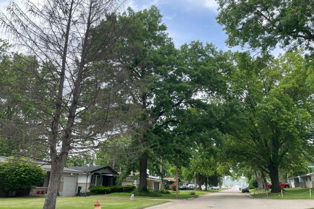 Landseer Dr, Saint Louis, MO 63136