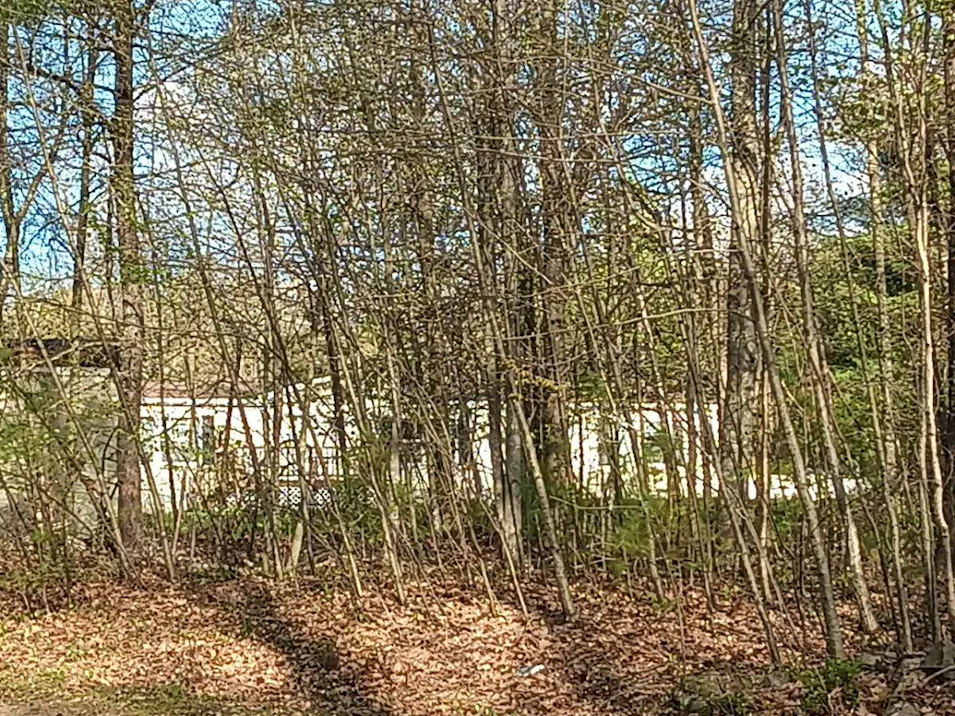 169 Griffin Road Deerfield, NH 03037, Rockingham County