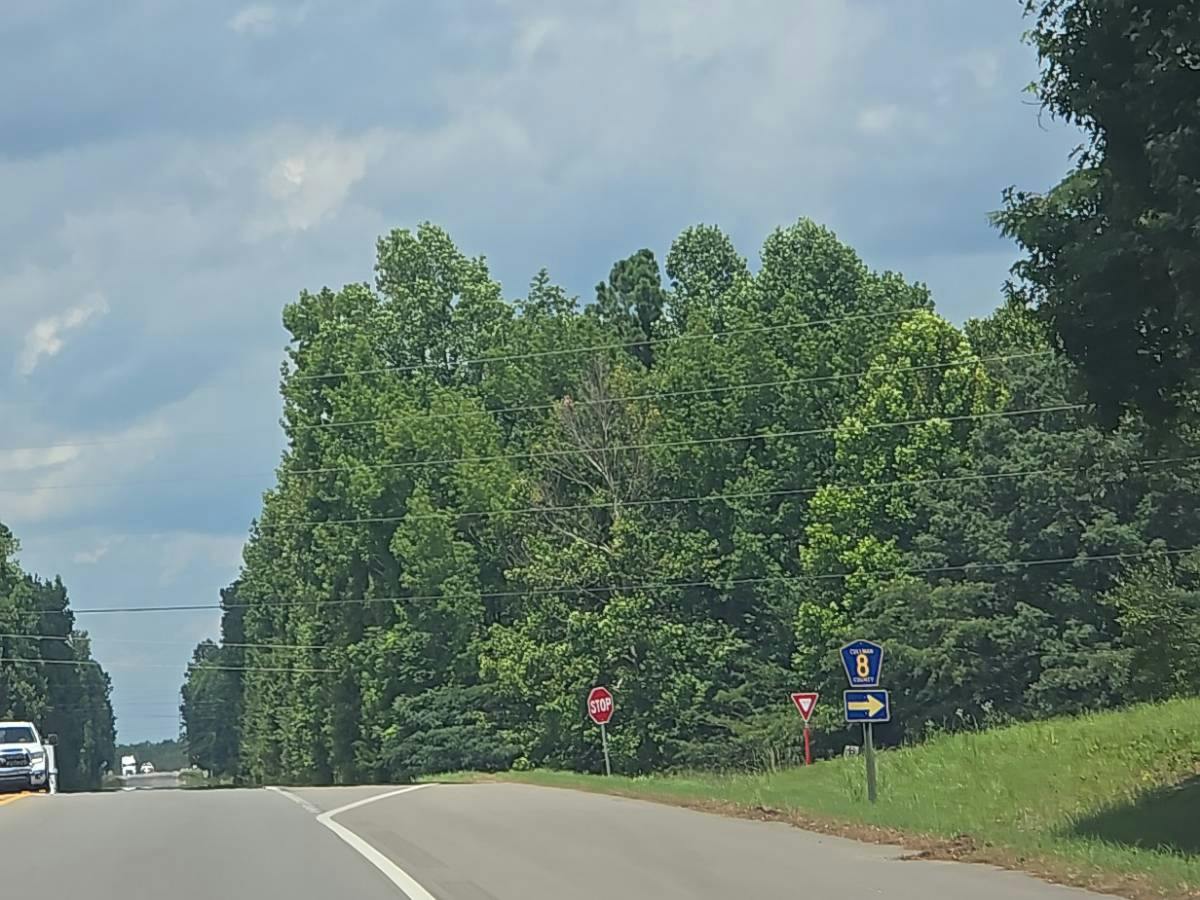 County Road 223 , Hanceville, AL 35077