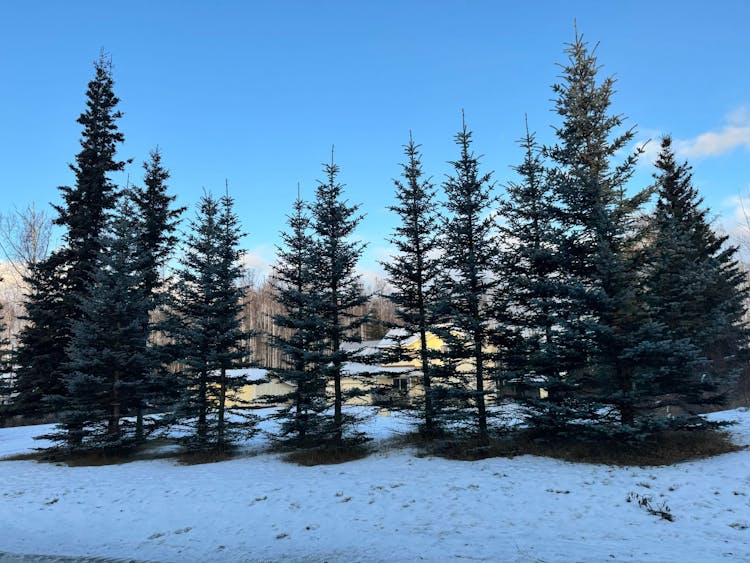 7139 W Sunset Avenue Wasilla, AK 99623, Palmer County