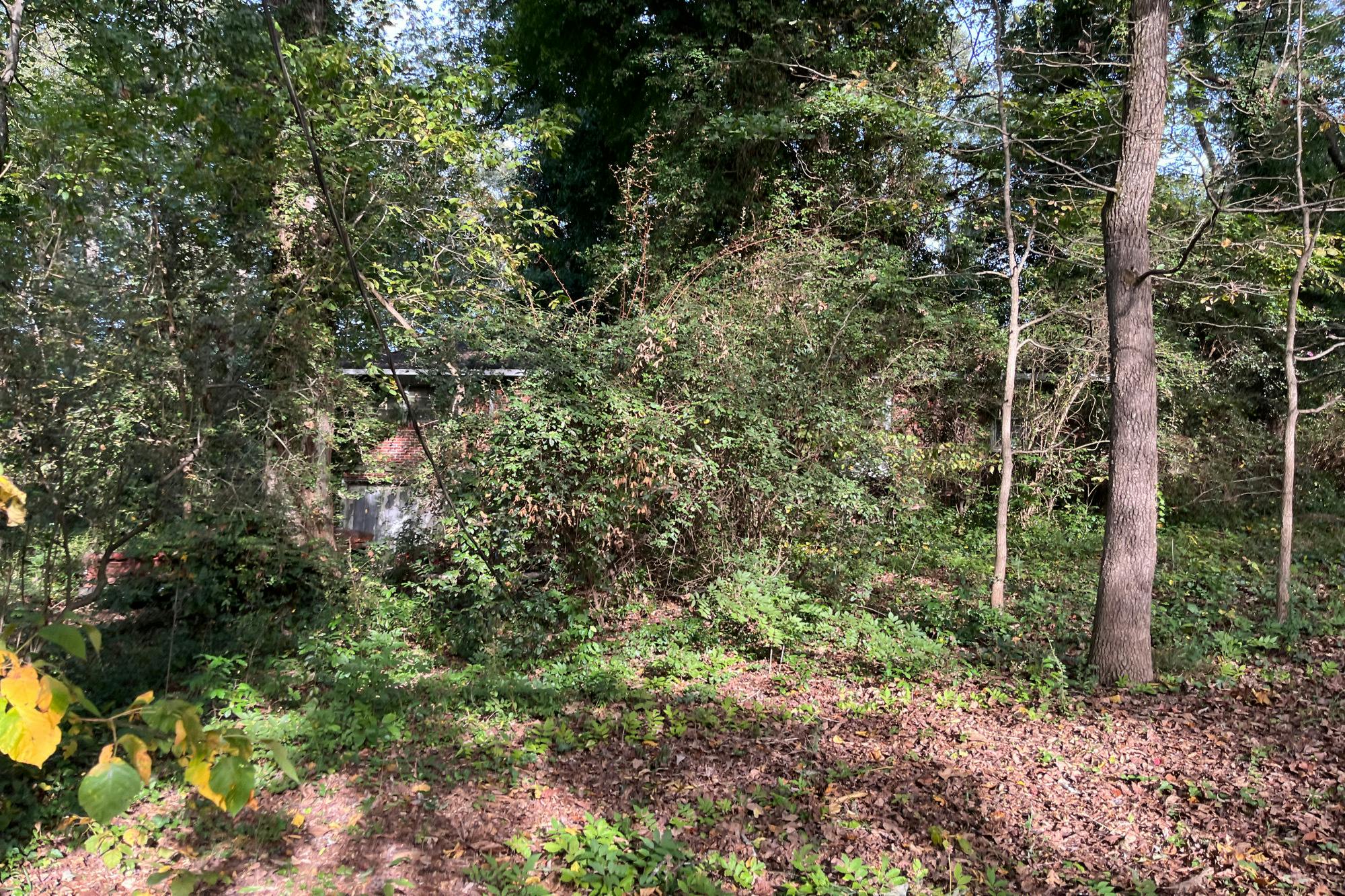 Piper Cir, Atlanta, GA 30316 #1