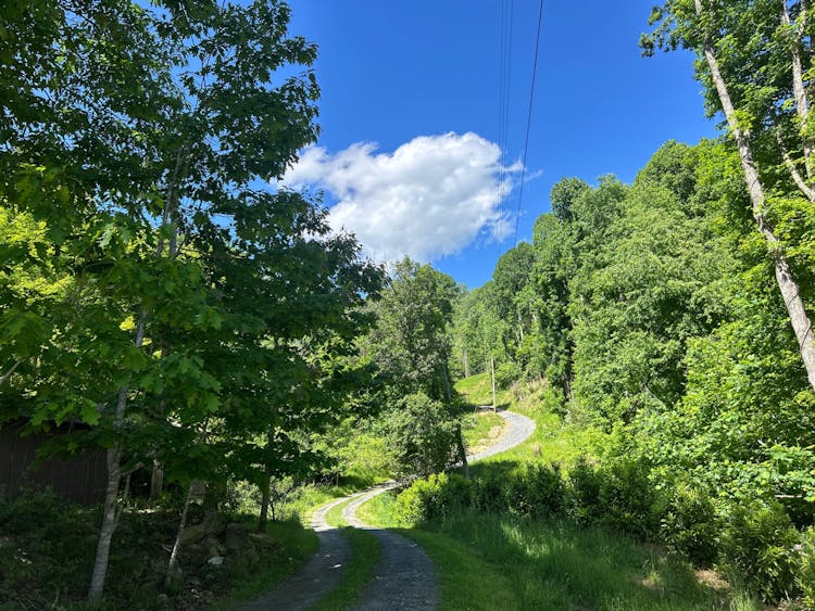 782 Fred Holcombe Rd Mars Hill, NC 28754, Madison County