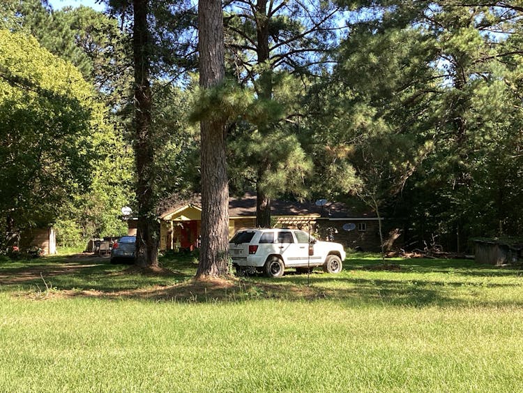 222 Pinkston Lane Pike Road, AL 36064, Montgomery County