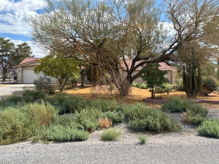 3611 S Mallard Ave Pahrump, NV 89048, Nye County