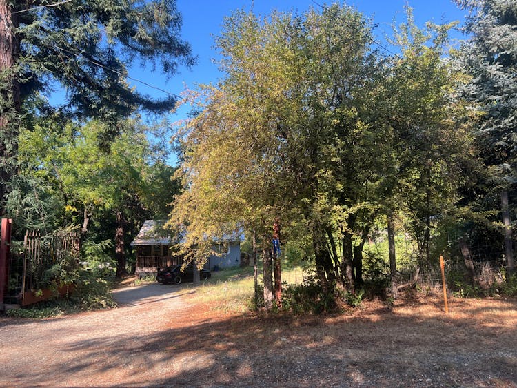 16582 Spring St Camptonville, CA 95922, Yuba County