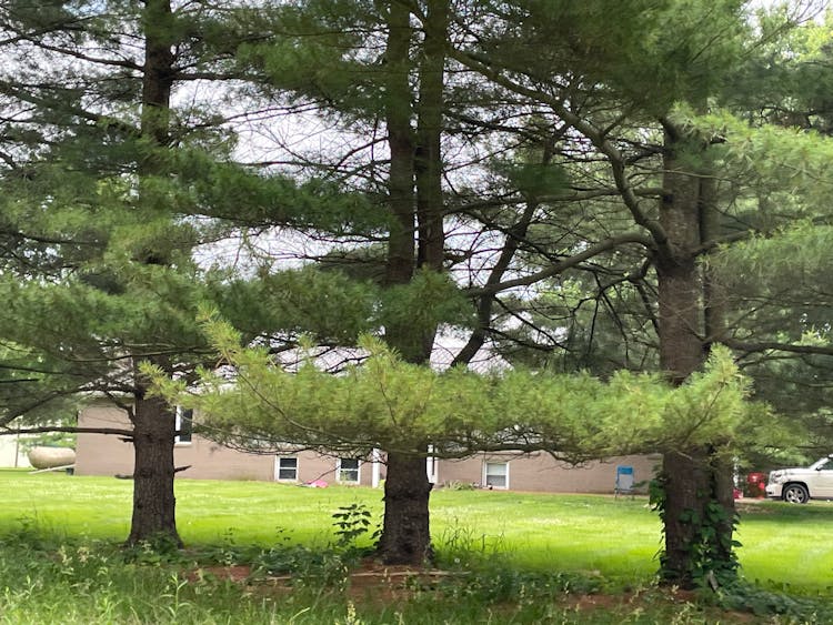 8110 Kilbourne Road Sunbury  (Kingston Township), OH 43074, Delaware County