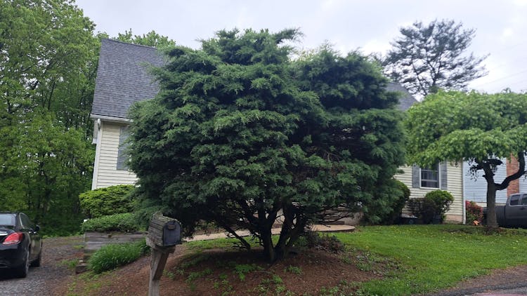 46 York Farm Road Pottsville, PA 17901, Schuylkill County